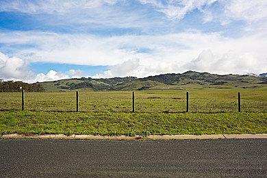 《黎明杀机》开发商打造多人竞技新IP 登陆PC和次世代主机